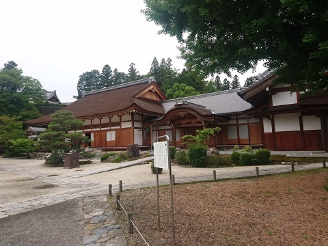 20180503_4b.jpg