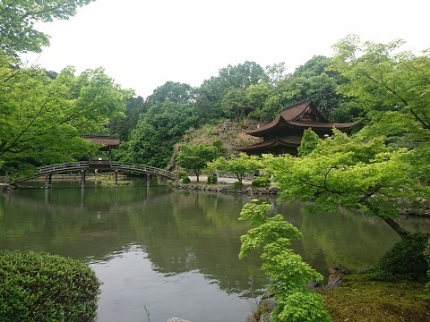 20180503_5b.jpg