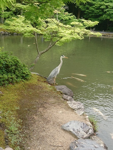20180503_6b.jpg