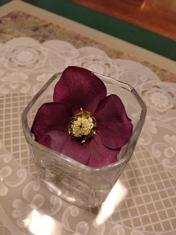 20230304_1b.jpg